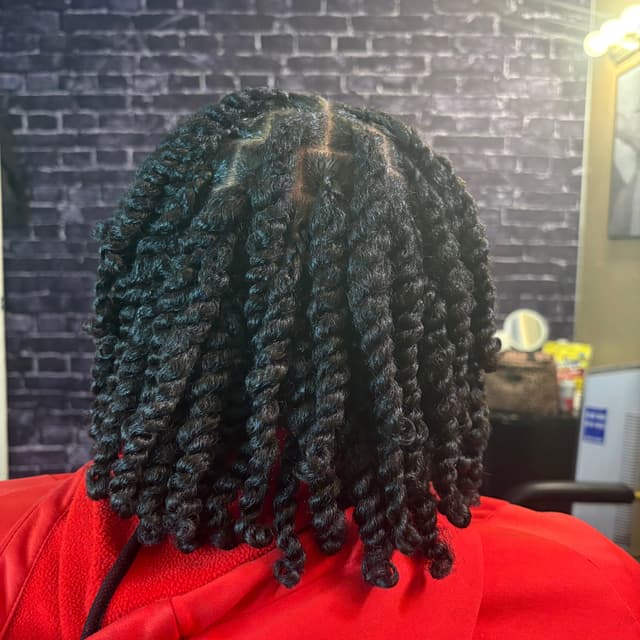 Natural Twist Deluxe at DLeeDesigns in Temple Hills, MD